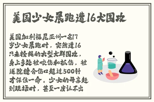 大地资源在线观看免费高清